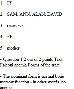 Lab Final Exam